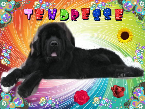 Tendresse Du monde de lea
