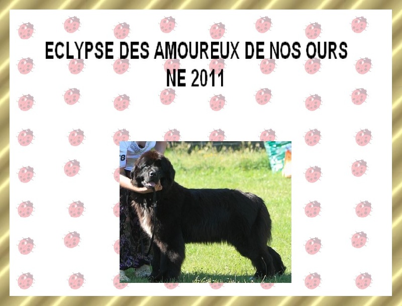 Eclypse a la NE 2011