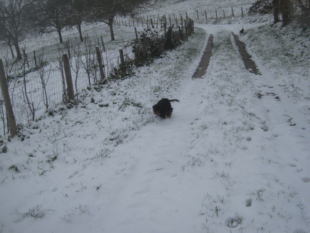 dans la neige